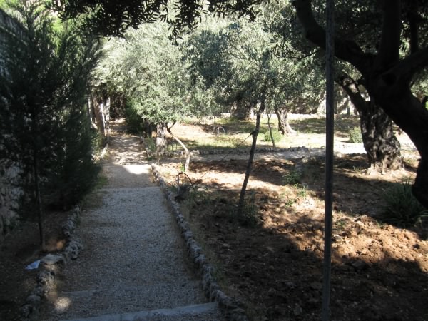 Path in the Garden of Gethsemane